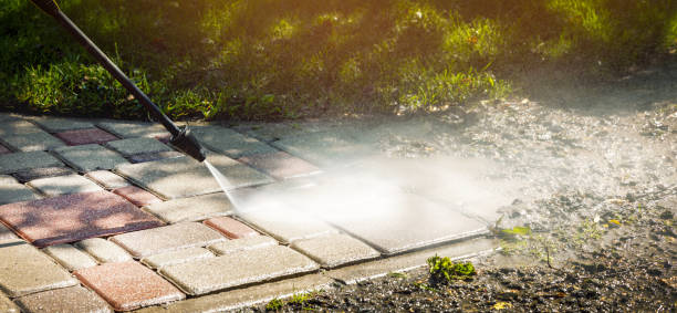 Best Solar Panel Cleaning  in Lakewood, CA